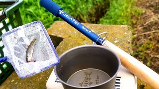 アウトドアで気軽に釣りができる延べ竿「jointer sprout」と小川に行こう