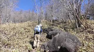 16 群馬県　折場登山口から登る　袈裟丸山　ハイキング　2017年4月28日