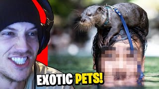 EXOTIC ANIMALS of TIKTOK (reaction)