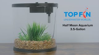 Top Fin Half Moon Fishtank 3.5 Gallon #Aquarium Setup | YouTube