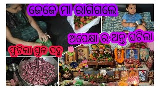 ବାଡ଼ିରେ ଫୁଟିଲା ସ୍ତଳ ପଦ୍ମ 🌷।। ଜେଜେ ମା ରାଗିଗଲେ କାହିଁକି??। Ridhi vlog's ❣️।।