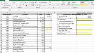 Funktionsopdelt resultatopgørelse