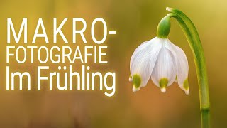 Makrofotografie im Frühling (Ultra-HD, 4K)