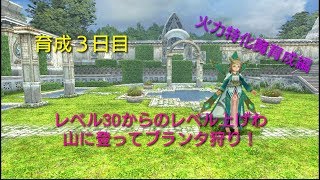 【トーラム】育成３日目、レベル30からのレベル上げわ山に登ってプランタ狩り！《†メル†の火力特化魔育成編》