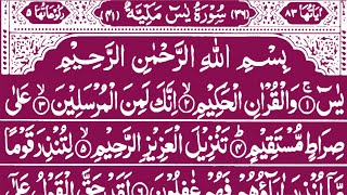 Surah Yaseen Amazing Quran Tilawat | Best Quran Recitation | Yaseen Sharif Ki Tilawat | Quran Paq