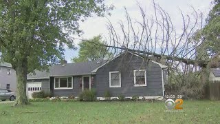 Overnight Storms Down Trees, Cause Flooding On Long Island