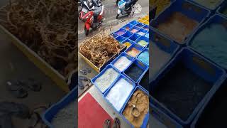 கொளத்தூர் மலிவான மீன் சந்தை / kolathur cheapest fish market / #fish #fishes #fishtank #colourfish