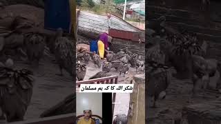 کافروں کا حال دیکھ لو دنیا بھی جنھم ہے ان کے لیے