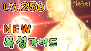 [아스가르드] 1렙부터 ~ 256만렙 까지 NEW 완벽 육성가이드(옛날 버전)