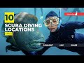 [2023] Chile Dive Sites That Will Blow Your Mind: Our Top 10 Scuba Diving Locations