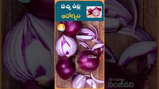 పచ్చి ఉల్లిపాయలు ఎక్కువగా తింటున్నారా..!?| #drcalmssanjeevani #ytshorts #onion #onions #healthtips