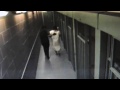 carr cellblock video no. 6