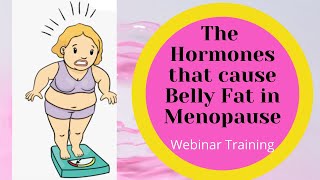 The Hormones that Cause Belly Fat in Menopause