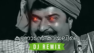 Kuttanadan Kaayalile - Kaazcha (DJ VTKZ Remix) • Malayalam Remix 2023