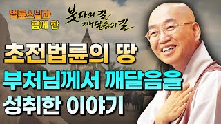 최초로 설법하신 초전법륜의 땅 부처님께서 깨달음을 성취한 이야기[법륜스님의 붓다의 길]