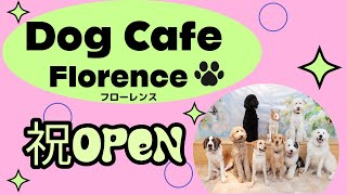 Dog Cafe Florence紹介動画 1