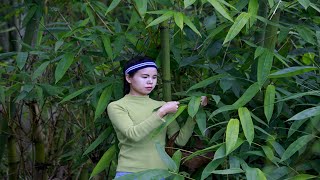 Zongzi ▍吃粽子，掛艾草，這是中國人千百年來過端午節的傳統文化