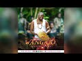 Wang oo---- Romeo Odong (Official Audio)