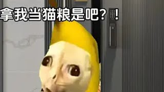 兄弟要拿我当猫粮？ 猫meme小剧场 猫meme 搞笑 真实还原