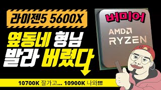 존버 힘들었지? 내일부터 컴퓨터 사!!라이젠 5000시리즈, 게임에서도 인텔 씹어먹었다. ( 라이젠5 5600X CPU )