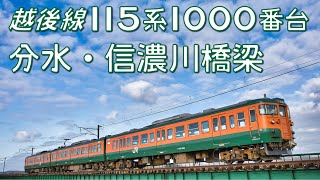 越後線 115系1000番台 分水・信濃川橋梁【4K 60fps】