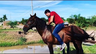UN DIA EN EL RANCHO (BROMA Y DIVERSION) VITOLIAS Y EL CHIQUETE