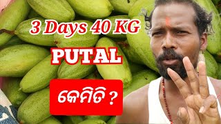 3 Days 40 KG Putal କେମିତି ବାହାରୁଚି ?3 ଦିନରେ ପୁଟଳ 40 କେଜି #Putal