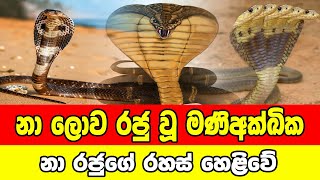 නා ලොව රජු වූ මණිඅක්ඛික  නා රජුගේ  රහස් හෙළිවේ | Lorry Talks