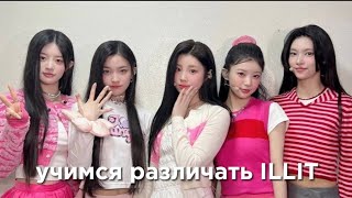 учим k-pop группу ILLIT/учимся различать ILLIT | vetmifi