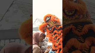 wow mantul Barongsai oren #barongsai #viralvideo