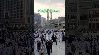 Kaaba dikha de moula 🕋❤️ #islamicstatus #live #religion #naatshareef #naat #rajab #shortvideo