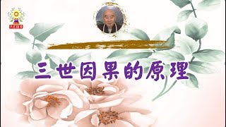 淨空法師法語精華─三世因果的原理