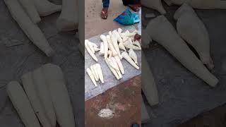 বাঁশ যখন খাবার #shorts #shortsvideo #bangladesh