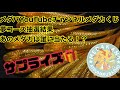 【メダカ】メダバYouTubeチャンネルメダカくじ！夢コース抽選結果！