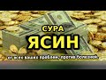 Сура ЯСИН защита от джиннов порчи сглаза и колдовства...