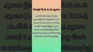 இந்த ஆமைக்கு ஓடு இல்லை -....... #shorts_video