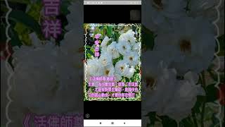 20221123#活佛師尊慈語 談#情緒控制 _192601.mp4#本頻道影片版權開放 #分享 #youtube #歡迎按讚分享訂閱