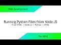 Running Python Files from Node