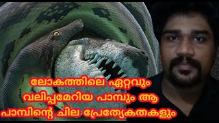 ലോകത്തിലെ ഏറ്റവും വലിപ്പമേറിയ പാമ്പും ആ പാമ്പിന്റെ ചില പ്രേത്യേകതകളും | world biggest snake