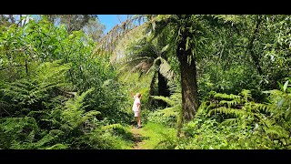 Fairy Dell Walk - A Lakes Entrance Day Trip (East Gippsland)