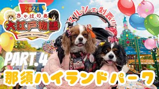 【キャバリアランド】お江戸のマルシェ制覇だワン編🐶Part.4『きゃばりあ大江戸物語』