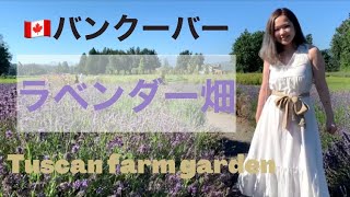 #85【Vlog】バンクーバーのラベンダー畑が綺麗すぎた/ Lavender field in Vancouver