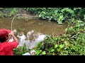 Edaaan!!! Mancing di sungai yang mulai surut ikan nya malah besar-besar