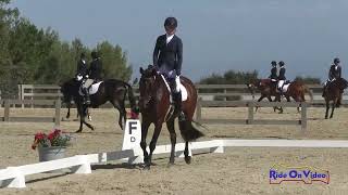 022D Amanda Boyce on Carter Open Preliminary Dressage Woodside August 2023