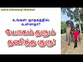 தனித்த குரு தரும் யோகம்! DINDIGUL P.CHINNARAJ ASTROLOGER INDIA