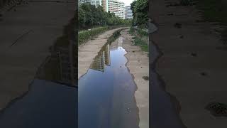 SINGAPORE scene   Yishun Town DRAIN  新加坡 义顺镇排水渠