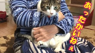 寒い朝は猫を抱こうよ😺【猫日記こむぎ＆だいず】2016.11.29