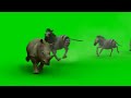 green screen zoo escape