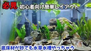 [アクアリウム]60cm水槽を短期間でリセットそのわけとは(初心者向けレイアウト)