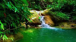 Peaceful River Sounds for Deep Focus Gentle Water Flow for Study for Healing for Meditation